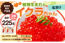 植物生まれのイクラちゃん 塩漬け 75g×3個 計225g いくら 代替食品 常温