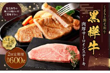 【2回定期便】黒樺牛 肉厚サーロインステーキ 約300g×1パック 計約600g 肉厚 サーロイン ステーキ サーロインステーキ 黒毛和牛 和牛 牛肉 牛