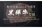 【2回定期便】黒樺牛 ロースステーキ 約400g（約200g×2パック）