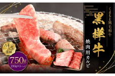 黒樺牛 焼肉用カルビ 計約750g（約250g×3パック） 焼肉用 カルビ 黒毛和牛 和牛 牛肉 牛