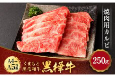 くまもと黒毛和牛 杉本本店 黒樺牛 A4~A5等級 焼肉用カルビ 約250g