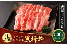 くまもと黒毛和牛 杉本本店 黒樺牛 A4~A5等級 焼肉用カルビ 250g×2 計500g