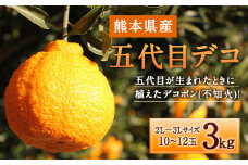五代目デコ 3kg (10玉～12玉) 不知火 果物 くだもの フルーツ【2026年2月下旬～6月下旬発送】