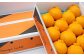 五代目デコ 3kg (10玉～12玉)
