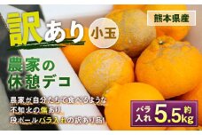 農家の休憩デコ 訳あり 小玉 約5.5kg 【2026年2月下旬～6月下旬発送】