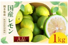 イエローレモン A品 約1kg （県認証特別栽培） 国産 柑橘 果物 フルーツ【2025年12月上旬～2026年6月上旬迄発送予定】