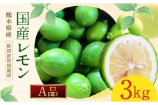 グリーンレモン A品 約3kg （県認証特別栽培） 国産 柑橘 果物 フルーツ【2025年8月-11月上旬発送】