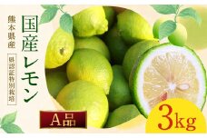 イエローレモン A品 約3kg 国産 柑橘 果物 フルーツ【2025年12月上旬～2026年6月上旬迄発送予定】