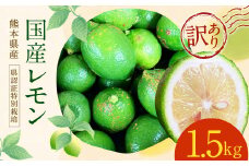 グリーンレモン 訳あり 約1.5kg （県認証特別栽培）防腐剤・ワックス不使用 国産 柑橘 果物 フルーツ【2025年8月-11月上旬発送】