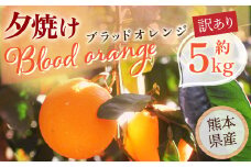 夕焼けブラッドオレンジ 訳あり 5kg 果物 くだもの フルーツ 柑橘【2026年2月下旬-6月下旬発送】