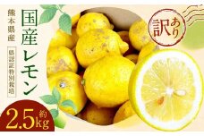 グリーンレモン 訳あり C品 計約2.5kg （県認証特別栽培） 檸檬 れもん レモン 柑橘 【2025年8月-11月上旬発送】