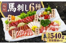 【桜屋】 馬刺し 6種 【赤身・サガリ・ハツ・フタエゴ・コウネ（タテガミ）・馬ユッケ】 約540g （専用醤油付き150ml×1本） 食べ比べ セット 