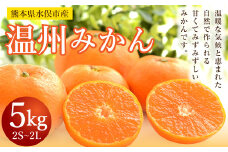 温州みかん 約5kg 2S～2L ミカン 柑橘 果物 フルーツ 【2025年11月上旬から2025年12月上旬まで順次発送予定】