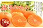 温州みかん 約5kg 2S～2L