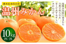 温州みかん 約10kg 2S～2L ミカン 柑橘 果物 フルーツ 【2025年11月上旬から2025年12月上旬まで順次発送予定】