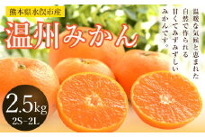 温州みかん 約2.5kg 2S～2L みかん 果物 くだもの フルーツ 柑橘 【2025年11月上旬から2025年12月上旬まで順次発送予定】