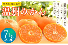 温州みかん 約7kg 2S～2L みかん 果物 くだもの フルーツ 柑橘 【2025年11月上旬から2025年12月上旬まで順次発送予定】