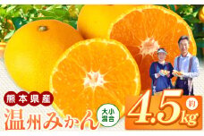 くすおかファーム の 温州みかん ( 4.5kg / 熊本県玉名産 ） | フルーツ 果物 くだもの 柑橘 ミカン みかん 温州ミカン 熊本県 玉名市