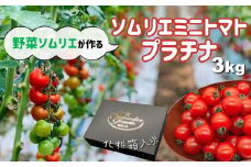 ソムリエミニトマト・プラチナ ( 3kg ) | 野菜 やさい トマト とまと ミニトマト みにとまと 熊本県 玉名市