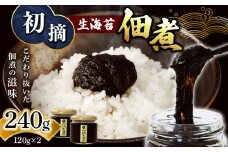 初摘 生海苔 佃煮 120g×2 | 魚貝類 海産物 海の幸 海苔 のり 海苔の佃煮 熊本県 玉名市