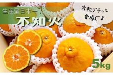 不知火 5kg | 果物 くだもの 柑橘 ミカン みかん オレンジ しらぬい 水本オレンジガーデン 熊本県 玉名市
