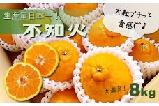 不知火 しらぬい 熊本玉名産 8kg | フルーツ 果物 くだもの 柑橘 ミカン みかん オレンジ 熊本県 玉名市