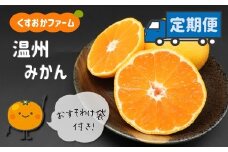 【定期便3回】くすおかファーム の 温州みかん 4.5kg | フルーツ 果物 くだもの 柑橘 ミカン みかん 温州ミカン 熊本県 玉名市 熊本県 玉名市