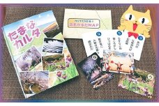 玉名かるた | おもちゃ ゲーム かるた カルタ 絵札 熊本県 玉名市