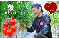 ミニトマト 生産量 日本一 玉名市 !! トマトベリー 約 3kg ｜ 野菜 トマト プチトマト 希少 熊本 玉名 くまもと たまな