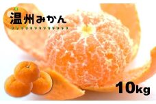 温州みかん 10kg 【熊本玉名・みかん専門店より】 | フルーツ 果物 くだもの 柑橘 ミカン みかん 玉名 たまな 熊本県 玉名市