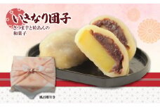 熊本特産品 いきなりだんご ( 16個入り ) | 食品 菓子 お菓子 おかし 和菓子 生菓子 饅頭 だんご 手作り 熊本県 玉名市