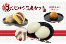 甘酒 ･ いきなりだんご ･ 黒糖 3点セット ( 19個入り ) | 甘酒まんじゅう 黒糖まんじゅう 菓子 お菓子 おかし 和菓子 生菓子 饅頭 手作り セット 熊本県 玉名市