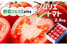 ソムリエトマト ( トマト 2.6kg ) | 野菜 やさい とまと 野菜ソムリエ 畑の宝石 熊本県 玉名市