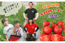 玉名産熟成ミニトマト「キャロルセブン」( 3kg ) | 野菜 やさい トマト ミニトマト 熊本県 玉名市