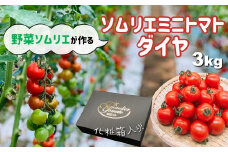 ソムリエミニトマト・ダイヤ ( 3kg ) | 野菜 やさい トマト とまと ミニトマト みにとまと 熊本県 玉名市