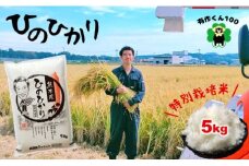 熊本玉名産 特別栽培米 ひのひかり 5kg | 米 こめ お米 おこめ 白米 精米 栽培 ヒノヒカリ 熊本県 玉名市