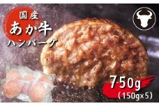 旨味凝縮 あか牛 100％ ハンバーグ 750g （ 150g × 5個 ） | 肉 にく お肉 おにく 牛 牛肉 和牛 焼くだけ 簡単 熊本県 玉名市