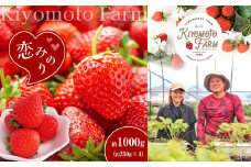 【1月以降発送】熊本たまな産 イチゴ 恋みのり 約1000g （ 250g × 4パック ） | フルーツ 果物 くだもの 苺 いちご 熊本県 玉名市