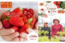 【 数量限定 ・ 12月発送 】 イチゴ 恋みのり or ゆうべに 約1000g | フルーツ 果物 くだもの 苺 いちご 熊本県 玉名市