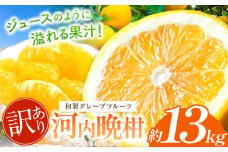 訳あり 河内晩柑 約 13kg 後藤農園 | 柑橘 みかん フルーツ 家庭用 和製 グレープフルーツ 果物 熊本県産