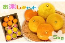旬の玉名産みかん約5kg詰め合わせ 【 お楽しみセット 】 | 果物 くだもの フルーツ 柑橘 柑橘類 みかん 熊本県 玉名市 詰め合わせ 旬 セット お楽しみ