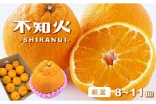 玉名産 「 不知火 」 厳選  8～11個 | 果物 くだもの フルーツ 柑橘 柑橘類 みかん 不知火 熊本県 玉名市 厳選