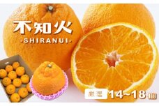 玉名産  「 不知火 」 厳選 14～18個 | 果物 くだもの フルーツ 柑橘 柑橘類 みかん 不知火 雑柑 熊本県 玉名市 厳選 