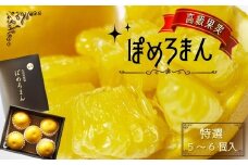 【数量限定】 高級果実 ぽめろまん 5～6個入り（ 化粧箱 ） | 特選 フルーツ 果物 くだもの 柑橘 柑橘類 ミカン みかん 熊本県 玉名市