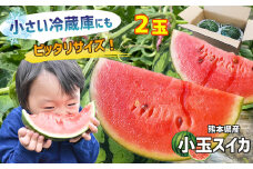 スイカ 王国 熊本 ！ 小玉 すいか 2玉 熊本県産 果物  西瓜 フルーツ 【 4月 ～ 6月 発送 】 | くだもの 小玉スイカ 小玉すいか 熊本県 玉名市
