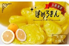 高級 果実 「 大玉 」 ぽめろまん 6個入り 【 数量限定 】 | フルーツ 果物 くだもの 柑橘 柑橘類 ミカン みかん 熊本県 玉名市