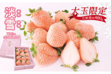熊本玉名 白いちご 「 淡雪 」 ( 大玉限定 400g ) 《 化粧箱付 》 | フルーツ 果物 くだもの いちご イチゴ 苺 白苺 あわゆき 熊本県 玉名市