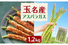 熊本玉名産 アスパラガス （ グリーン ） 1.2kg | 野菜 やさい アスパラ 熊本県 玉名市