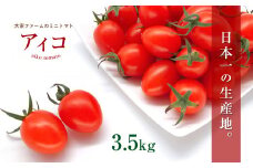 『大家ファーム』 のミニトマト アイコ 3.5kg ｜ 野菜 やさい とまと トマト ミニトマト アイコ 熊本県 玉名市