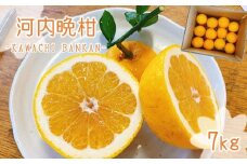 「 河内晩柑 」 約7kg 【 熊本玉名・みかん専門店より 】 | 果物 くだもの フルーツ 柑橘 柑橘類 みかん 河内 晩柑 和製グレープフルーツ 熊本県 玉名市